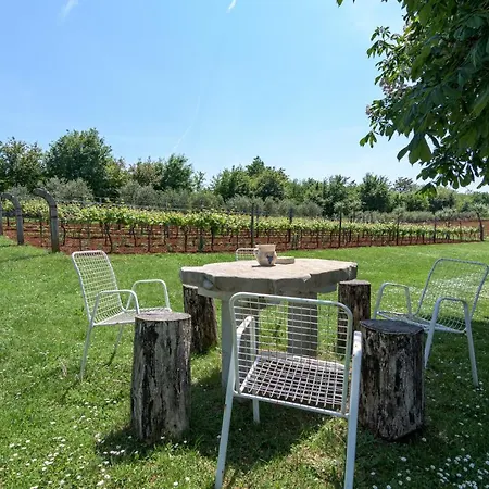 Family Friendly House With A Parking Space Sveti Martin, Istria - Sredisnja Istra - 7849 *