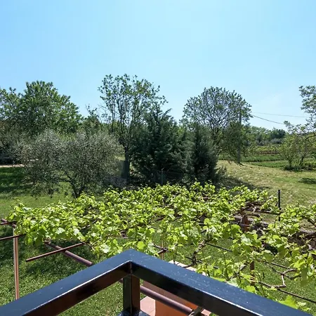 Family Friendly House With A Parking Space Sveti Martin, Istria - Sredisnja Istra - 7849 * Ruzici (Sveta Nedelja)
