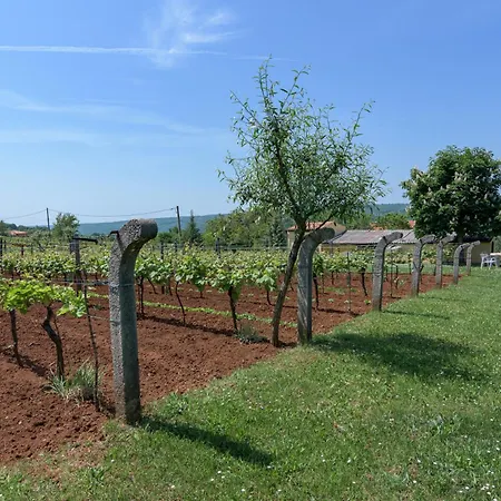 Family Friendly House With A Parking Space Sveti Martin, Istria - Sredisnja Istra - 7849